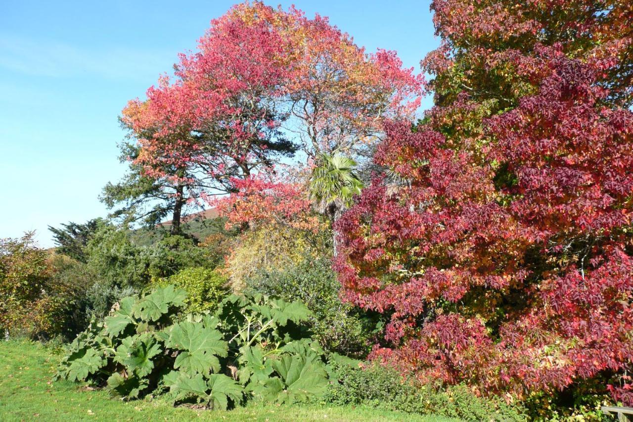 Luxury Bed And Breakfast At Bossington Hall In Exmoor, Somerset Porlock Eksteriør bilde