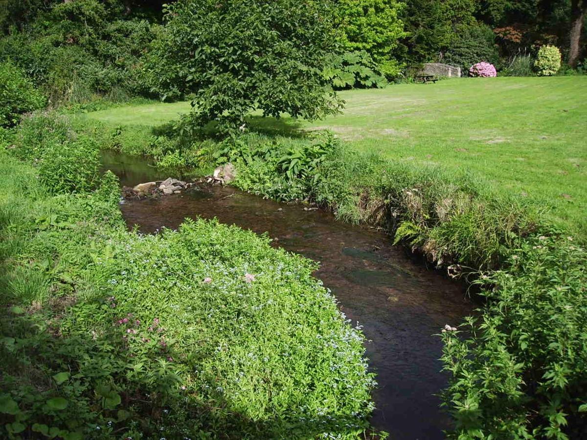 Luxury Bed And Breakfast At Bossington Hall In Exmoor, Somerset Porlock Eksteriør bilde