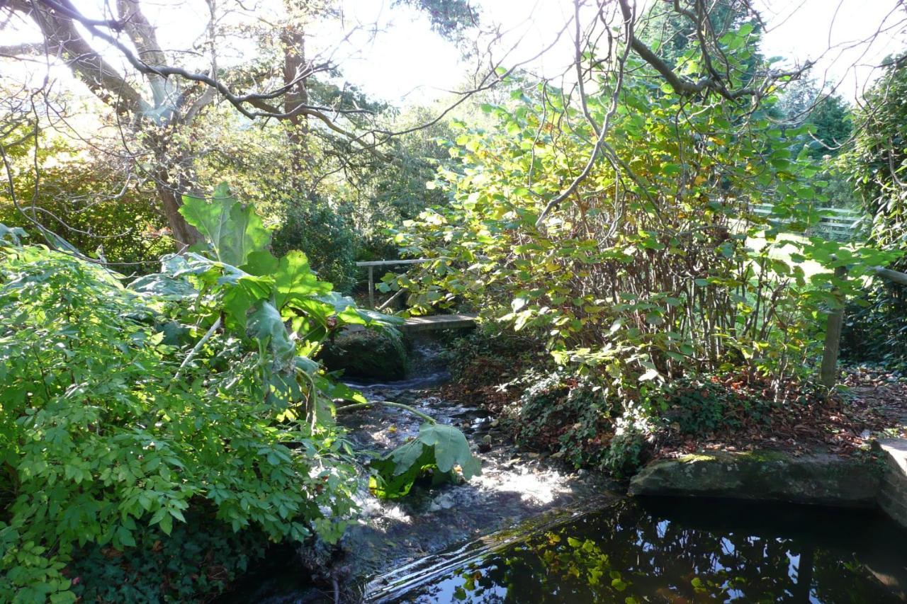 Luxury Bed And Breakfast At Bossington Hall In Exmoor, Somerset Porlock Eksteriør bilde