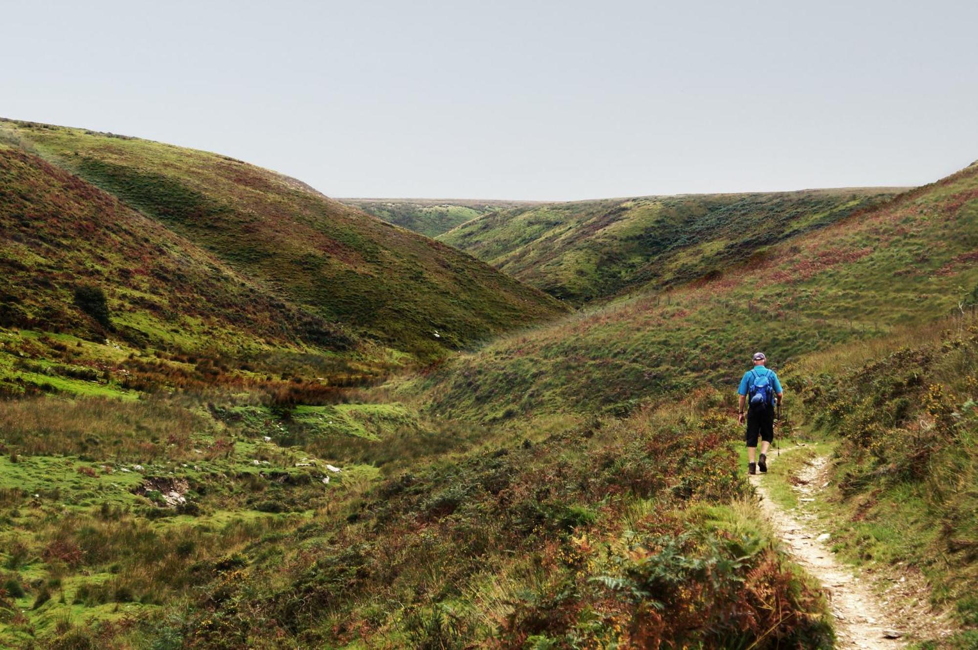 Luxury Bed And Breakfast At Bossington Hall In Exmoor, Somerset Porlock Eksteriør bilde
